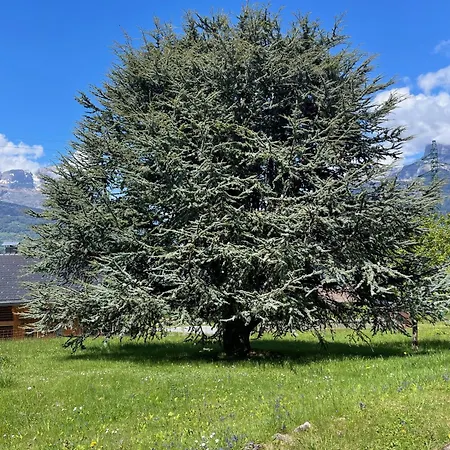 Apartment De La Buche Croisee *
